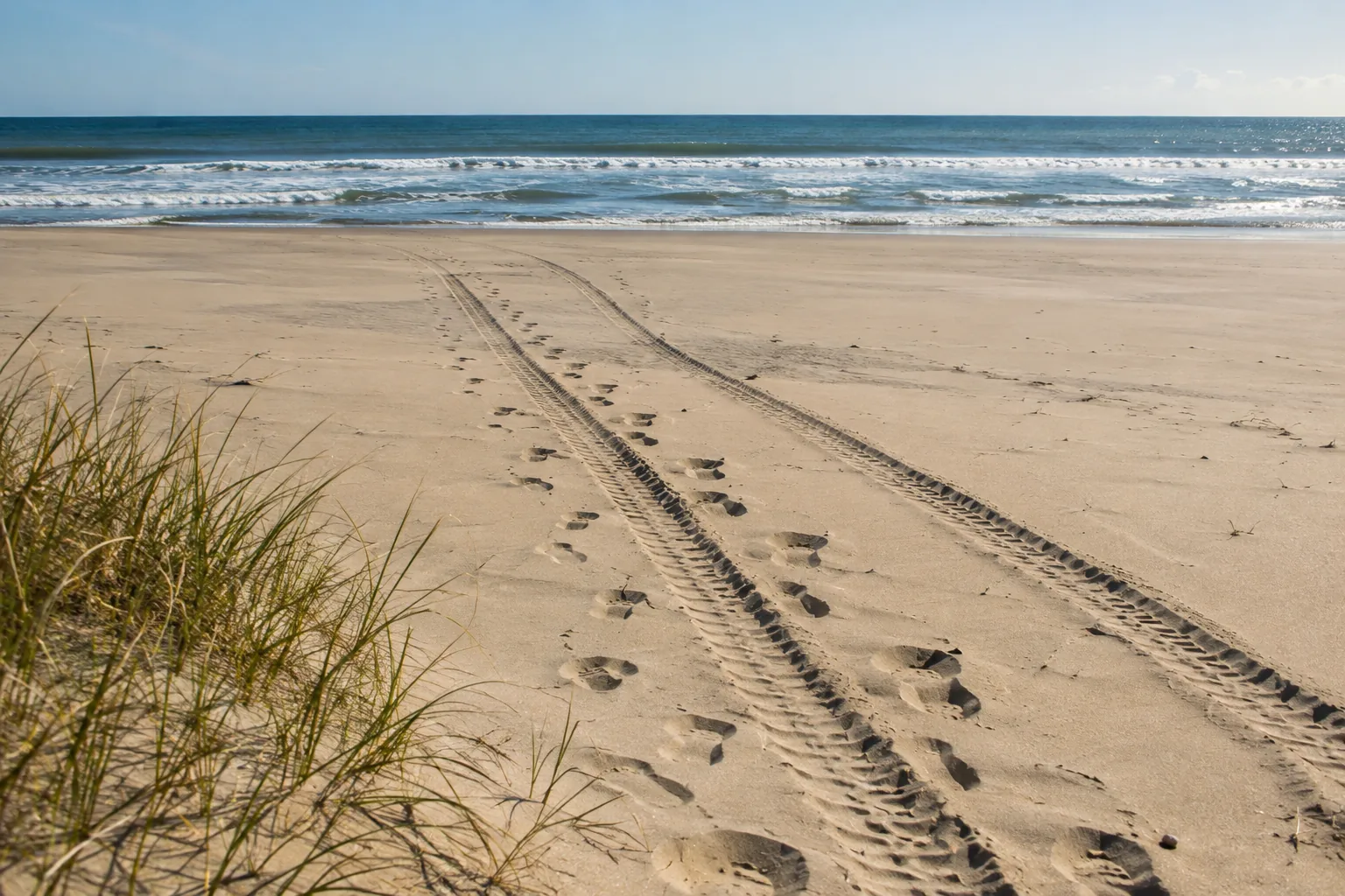 Wagon tracks and footprints crossing soft dry sand toward the water